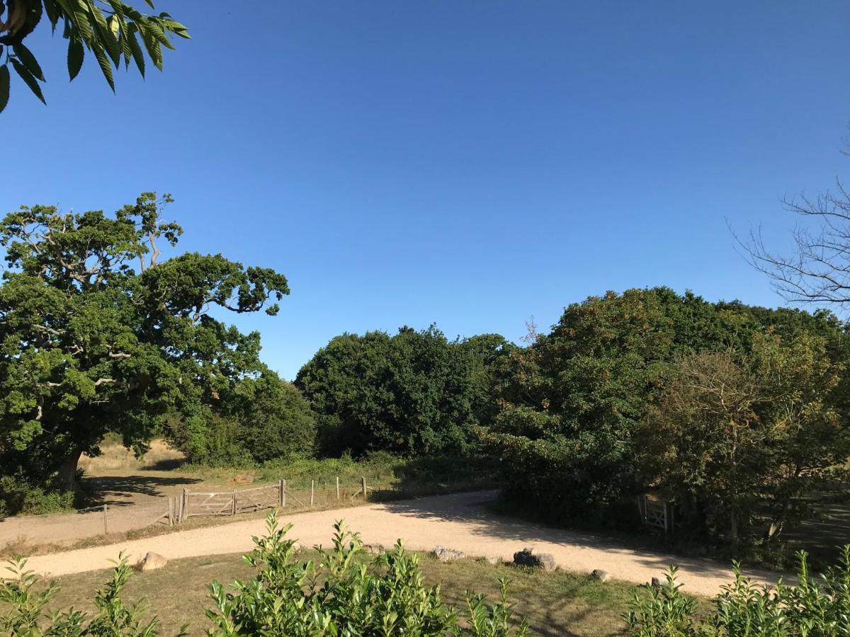 Meadowview Lodge Warsash Bagian luar foto